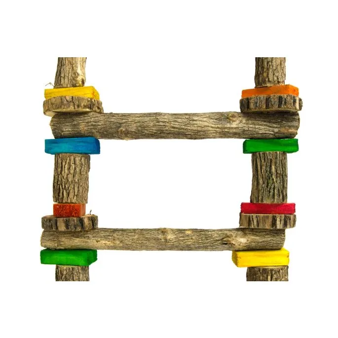 Birrdeeez 5-Step Sekelbos Ladder Large 3 Birrdeeez 5-Step Sekelbos Ladder Large