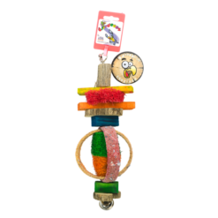 Birrdeeez Parkiet Houten Speelgoed