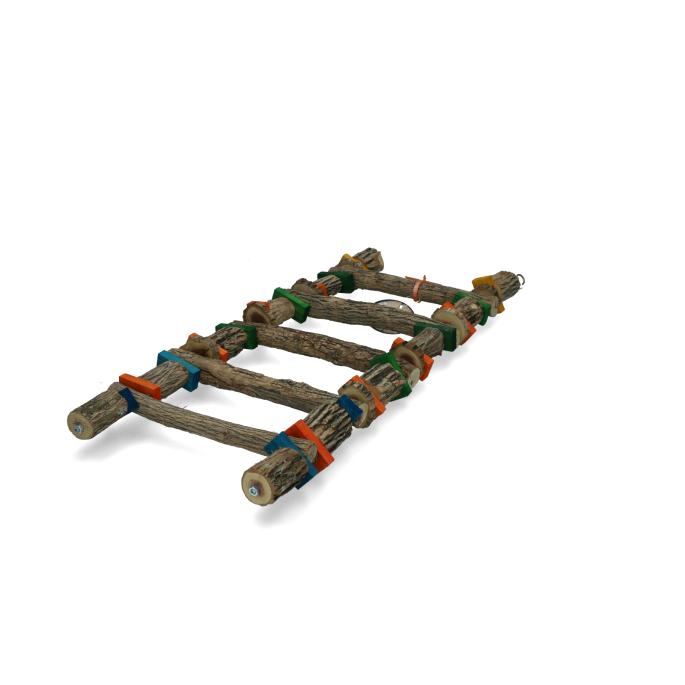 Birrdeeez 5-Step Sekelbos Ladder Large 7 Birrdeeez 5-Step Sekelbos Ladder Large - Afbeelding 5