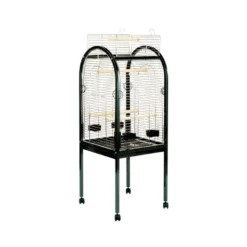 Duvo Junior Papegaaikooi | Worldofanimals.nl Heeft Het!