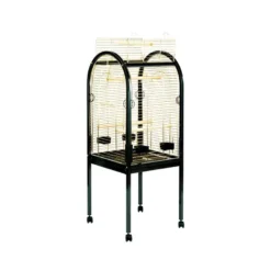 Duvo Junior Papegaaikooi | Worldofanimals.nl Heeft Het!