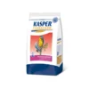 Kasper Fauna Food Kasper Faunafood Hobbyline Zangzaad/Kanariezaad -Vogelvoer Winkel kf6560 det0