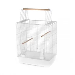 Duvo Kooi Ara | Worldofanimals.nl Heeft Het!