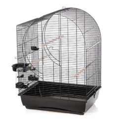 Duvo Kooi Elizabeth | Worldofanimals.nl Heeft Het!