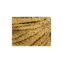 Tijssen Goed Voor Dieren Trosgierst